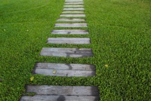 garden landscaping