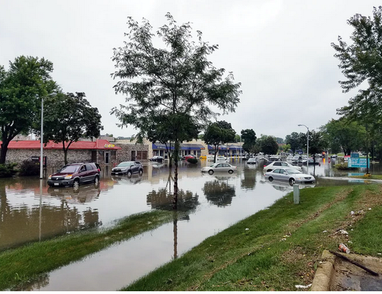 Tips for Choosing a Water Damage Restoration Company