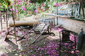 messy garden